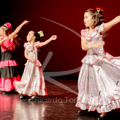 O ESPÍRITO DA DANÇA - 0148