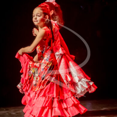 O ESPÍRITO DA DANÇA - 0150