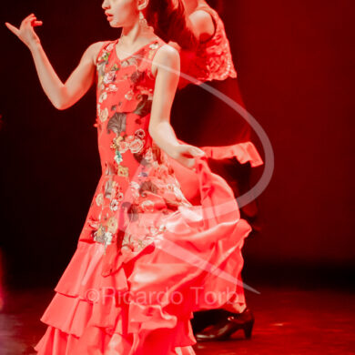 O ESPÍRITO DA DANÇA - 0151