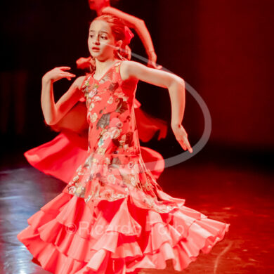 O ESPÍRITO DA DANÇA - 0154