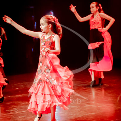 O ESPÍRITO DA DANÇA - 0155