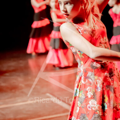 O ESPÍRITO DA DANÇA - 0156