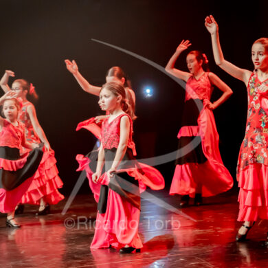 O ESPÍRITO DA DANÇA - 0162