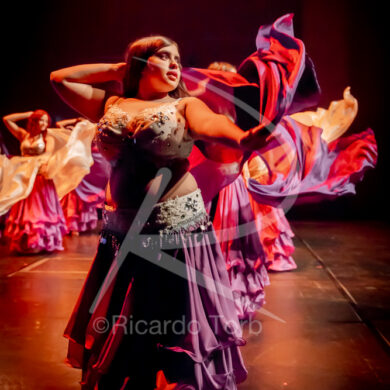 O ESPÍRITO DA DANÇA - 0214