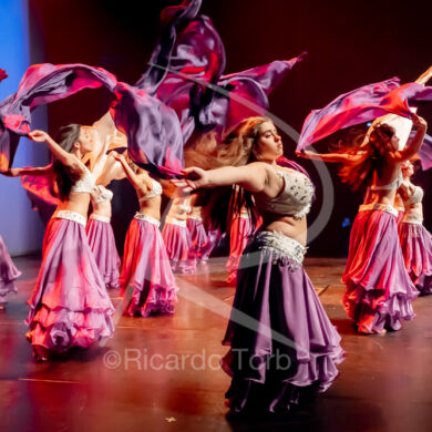 O ESPÍRITO DA DANÇA - 0216