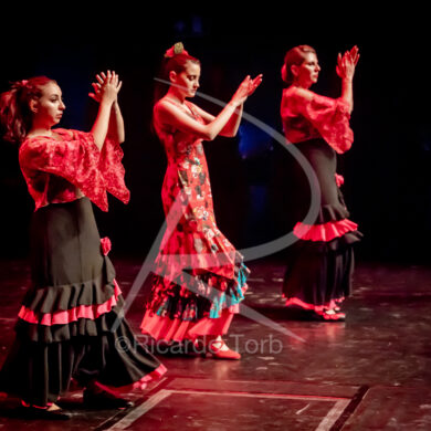 O ESPÍRITO DA DANÇA - 0220