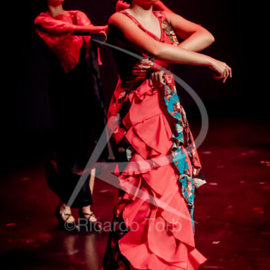 O ESPÍRITO DA DANÇA - 0221