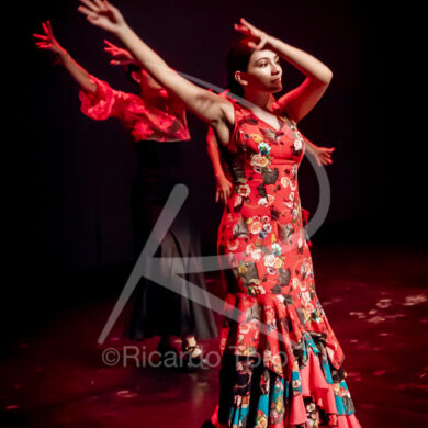 O ESPÍRITO DA DANÇA - 0222