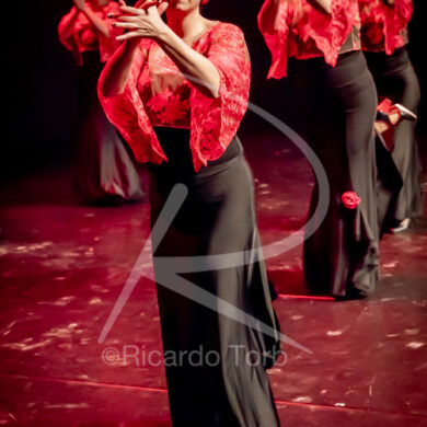 O ESPÍRITO DA DANÇA - 0223