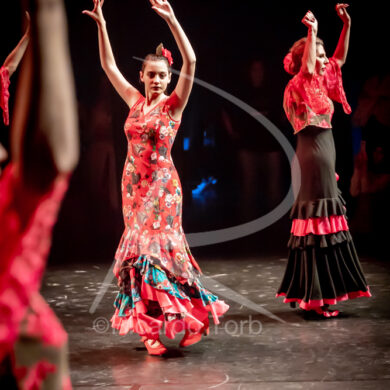 O ESPÍRITO DA DANÇA - 0225