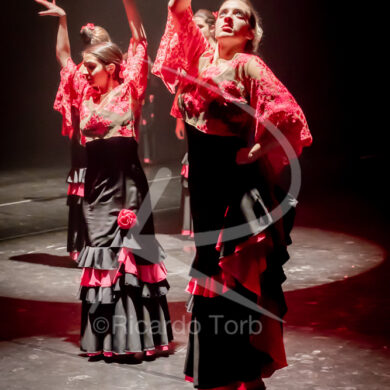 O ESPÍRITO DA DANÇA - 0226