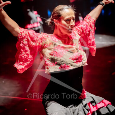 O ESPÍRITO DA DANÇA - 0227