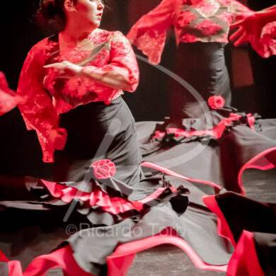 O ESPÍRITO DA DANÇA - 0228