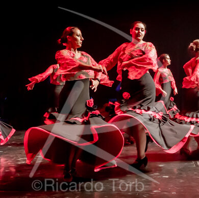 O ESPÍRITO DA DANÇA - 0231