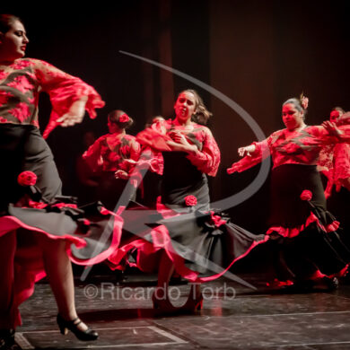 O ESPÍRITO DA DANÇA - 0232