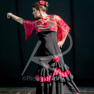 O ESPÍRITO DA DANÇA - 0244