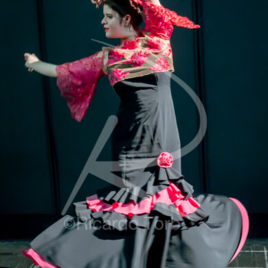 O ESPÍRITO DA DANÇA - 0245