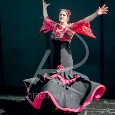 O ESPÍRITO DA DANÇA - 0247