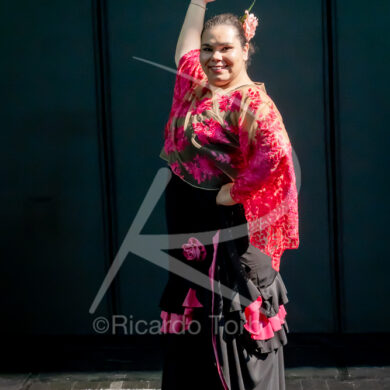 O ESPÍRITO DA DANÇA - 0248