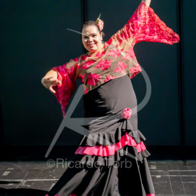 O ESPÍRITO DA DANÇA - 0249