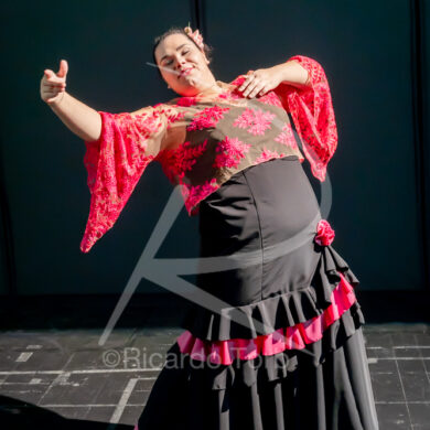 O ESPÍRITO DA DANÇA - 0252