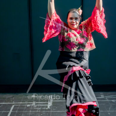 O ESPÍRITO DA DANÇA - 0254