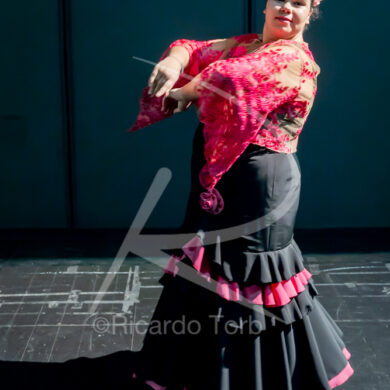 O ESPÍRITO DA DANÇA - 0255