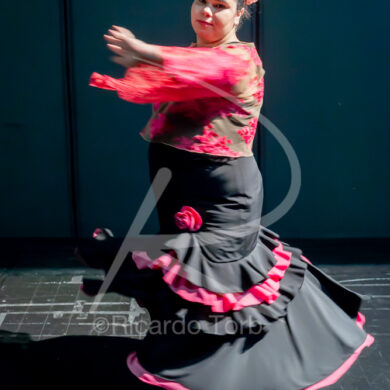 O ESPÍRITO DA DANÇA - 0256