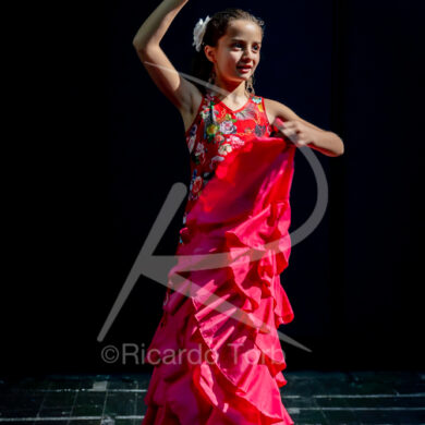 O ESPÍRITO DA DANÇA - 0283