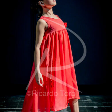 O ESPÍRITO DA DANÇA - 0311