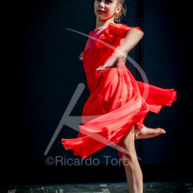 O ESPÍRITO DA DANÇA - 0312