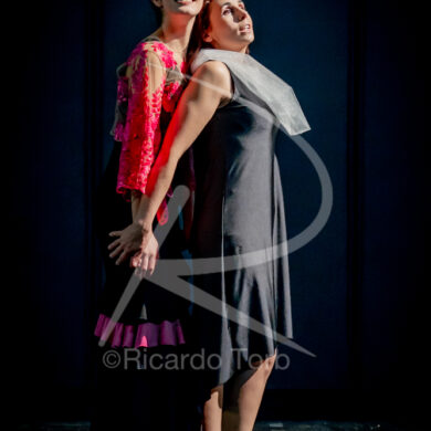 O ESPÍRITO DA DANÇA - 0336