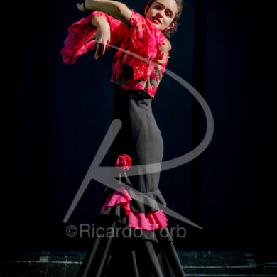 O ESPÍRITO DA DANÇA - 0345