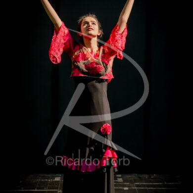 O ESPÍRITO DA DANÇA - 0347