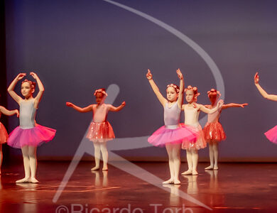 O ESPÍRITO DA DANÇA - 0367