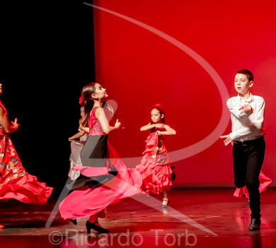 O ESPÍRITO DA DANÇA - 0371