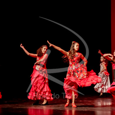 O ESPÍRITO DA DANÇA - 0372