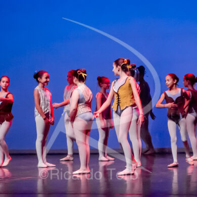 O ESPÍRITO DA DANÇA - 0394