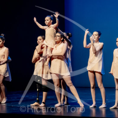 O ESPÍRITO DA DANÇA - 0425