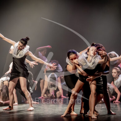 O ESPÍRITO DA DANÇA - 0446