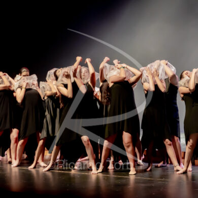 O ESPÍRITO DA DANÇA - 0456