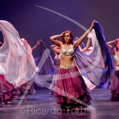 O ESPÍRITO DA DANÇA - 0463