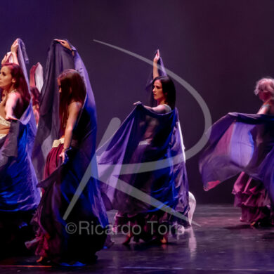 O ESPÍRITO DA DANÇA - 0468