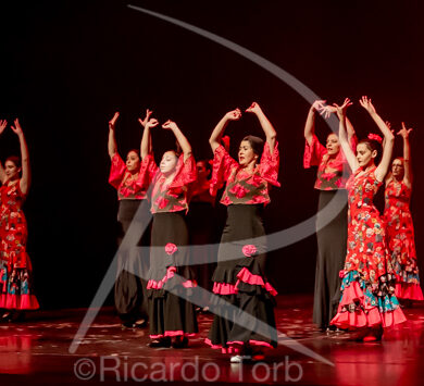 O ESPÍRITO DA DANÇA - 0473