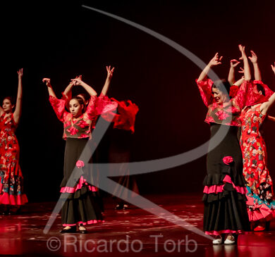 O ESPÍRITO DA DANÇA - 0474