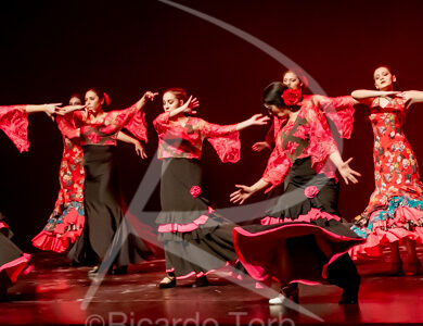 O ESPÍRITO DA DANÇA - 0475