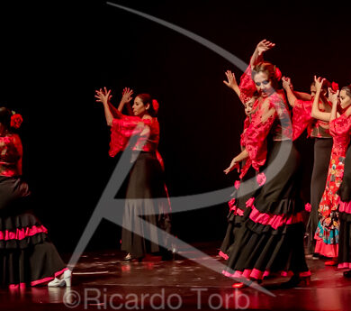 O ESPÍRITO DA DANÇA - 0476