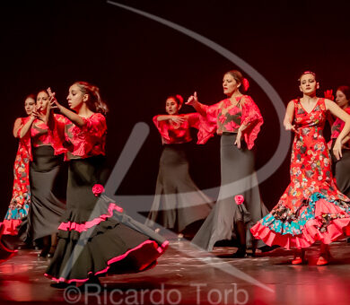 O ESPÍRITO DA DANÇA - 0477