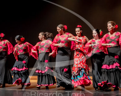 O ESPÍRITO DA DANÇA - 0478