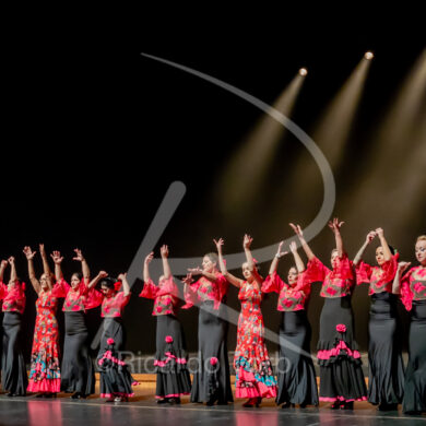 O ESPÍRITO DA DANÇA - 0479